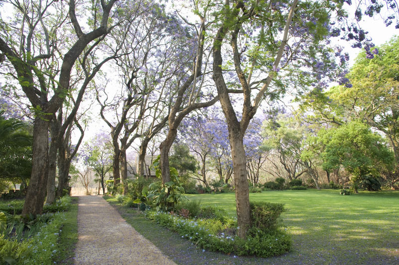 Nesbitt Castle Hotel Bulawayo Luaran gambar